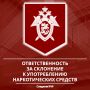Следственное управление СК России по Карачаево-Черкесской Республике предупреждает об уголовной ответственности за склонение к употреблению наркотических средств