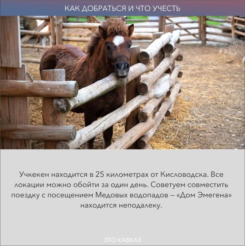 Всего 25 километров от Кисловодска — и вы в Учкекене: месте, которое большинство туристов проезжает по дороге в Домбай или Архыз, даже не догадываясь, что оно заслуживает отдельного маршрута Всего 25 километров от Кисловодска — и вы в Учкекене: месте, которое большинство туристов проезжает по дороге в Домбай или Архыз, даже не догадываясь, что оно заслуживает отдельного маршрута